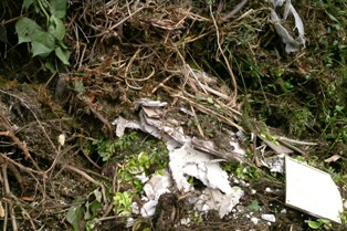 Plasterboard was among the contaminants found in green waste collected by Erewash